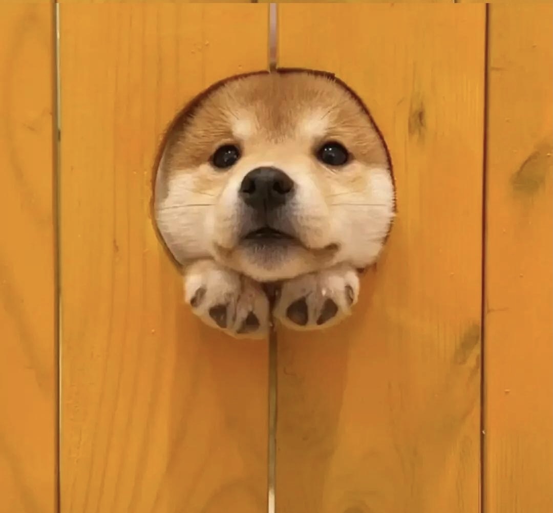 大良
