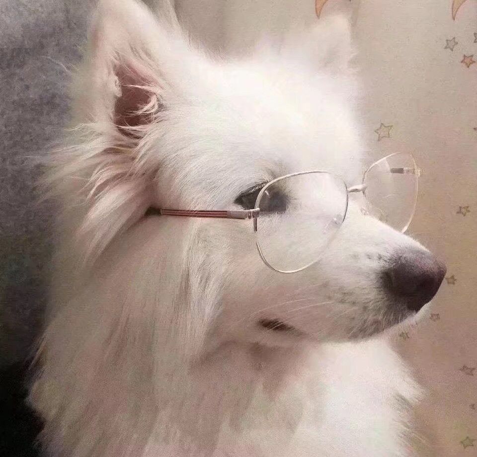 阑倾