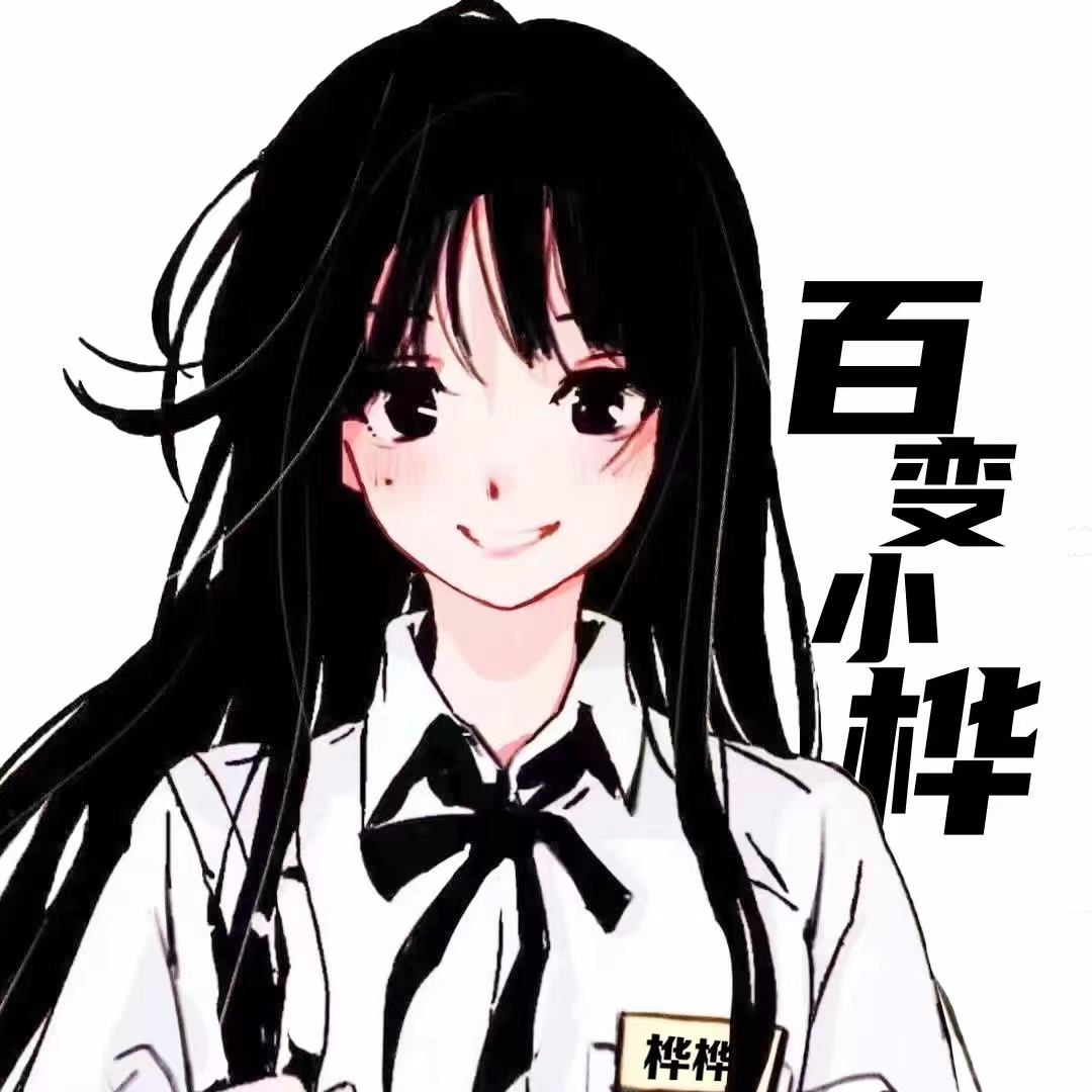 CV桦桦