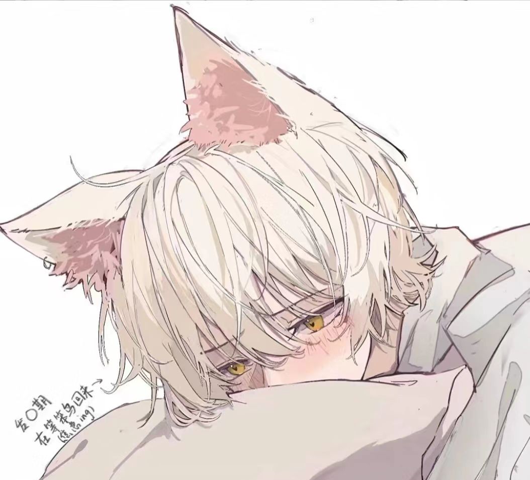 狐不仙