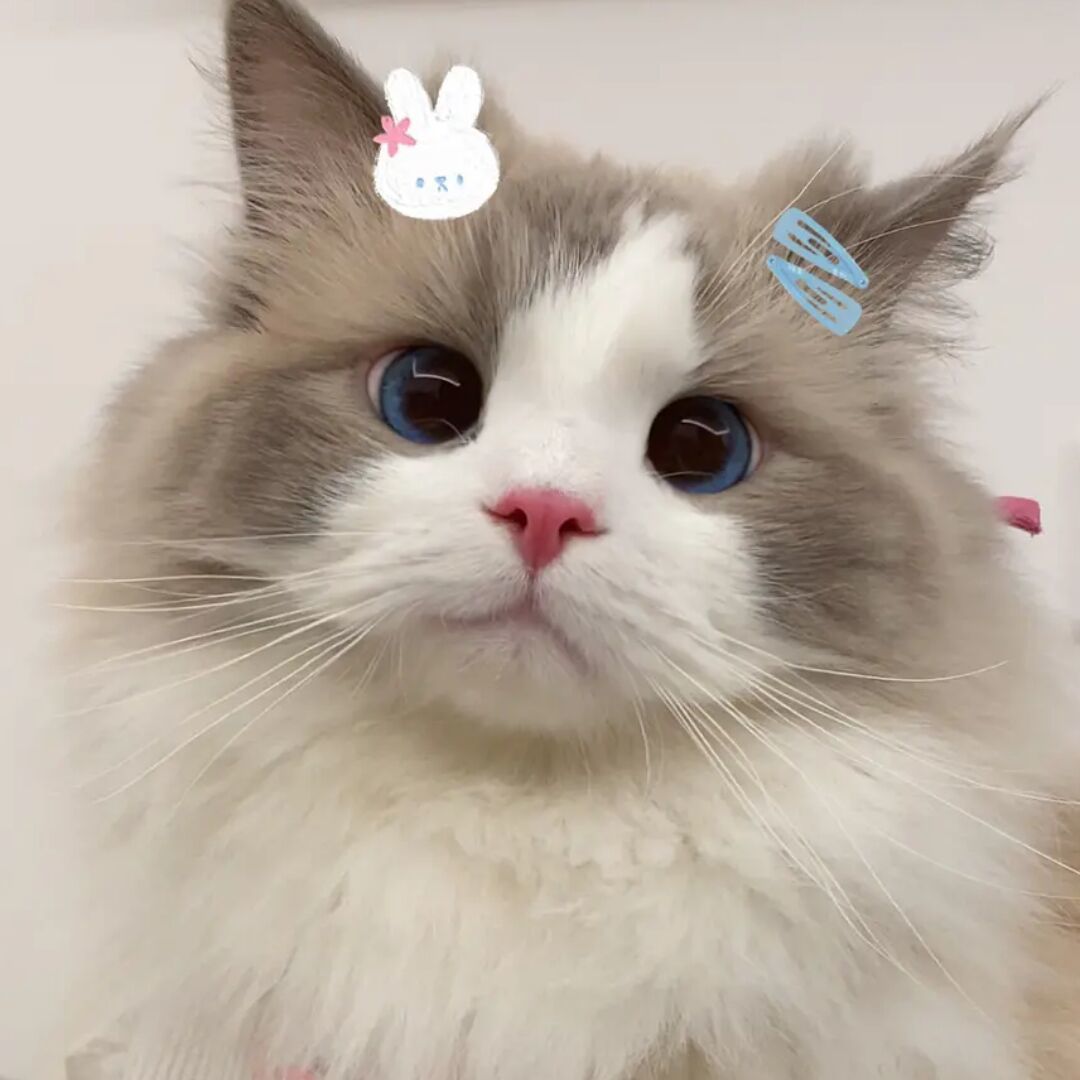夫空谷之