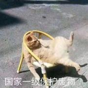 非吾