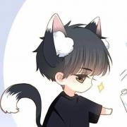 一只短腿猫