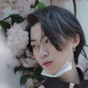 杨知远
