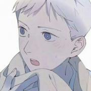 CV海狸