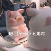 苏昕北吖