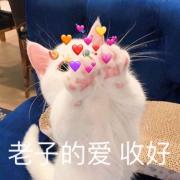 邑尘儿