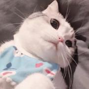 刘慕笙