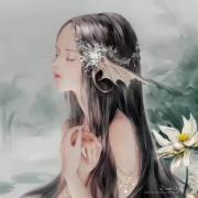 灰不过沧海的兔纸