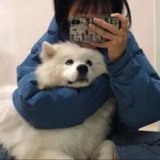 飞鸾