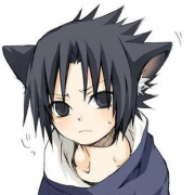 CV猪猪