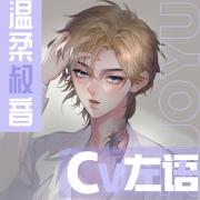 CV左语