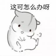 乔乔又怂怂