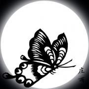 庄雨