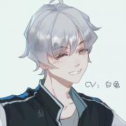 CV白龟