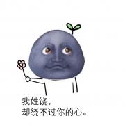 饶依格