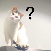 兰陶倚
