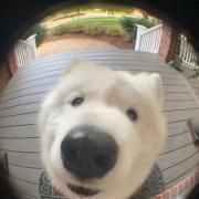 兰州