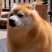 那谁子