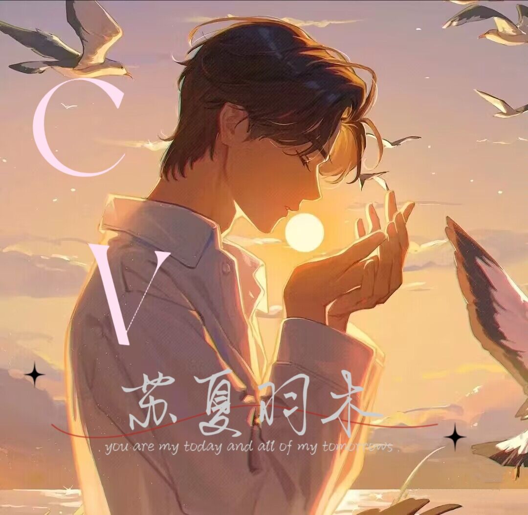 苏夏羽木