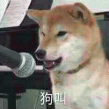 碰见疯子