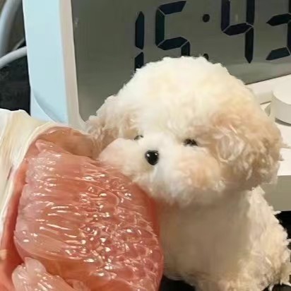 草莓