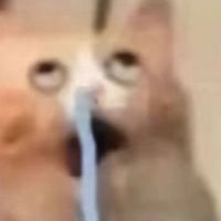F洋