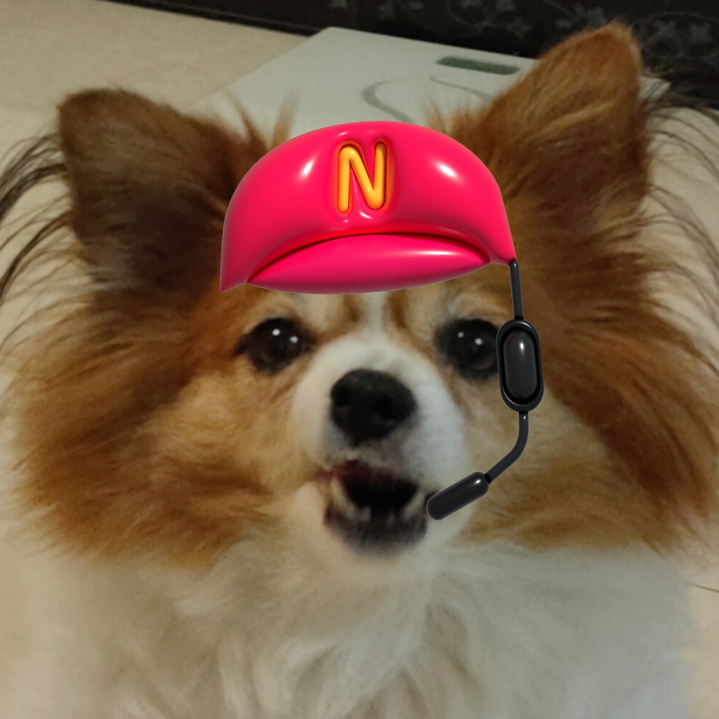 实心儿