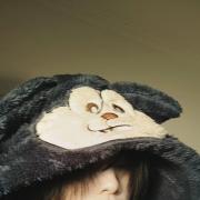 顾竹w