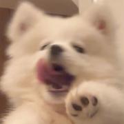 木亦