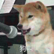碰见疯子