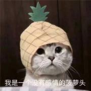 辣条啊啊啊啊啊